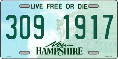 NH license plate 3091917