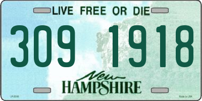 NH license plate 3091918