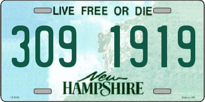 NH license plate 3091919