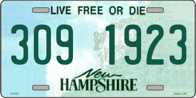 NH license plate 3091923