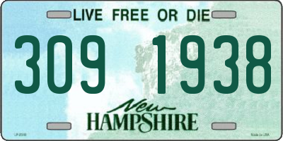 NH license plate 3091938