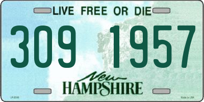 NH license plate 3091957