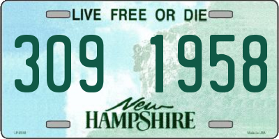 NH license plate 3091958