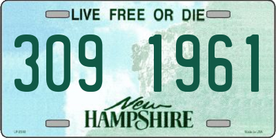 NH license plate 3091961