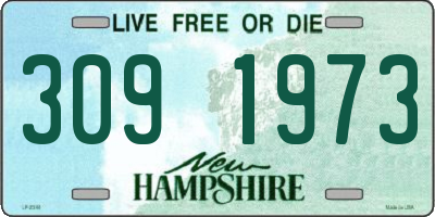 NH license plate 3091973