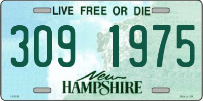 NH license plate 3091975