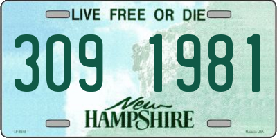 NH license plate 3091981