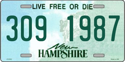 NH license plate 3091987