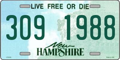NH license plate 3091988