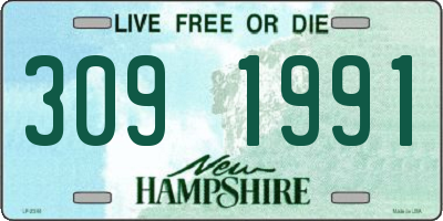 NH license plate 3091991