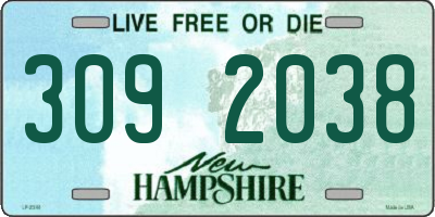 NH license plate 3092038