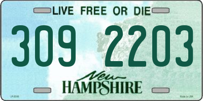 NH license plate 3092203