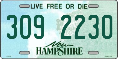 NH license plate 3092230