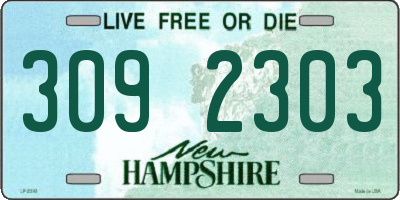 NH license plate 3092303