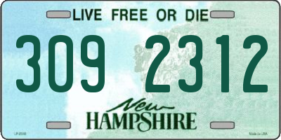 NH license plate 3092312