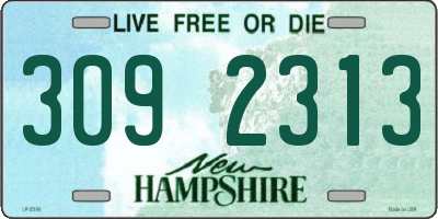 NH license plate 3092313