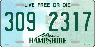 NH license plate 3092317