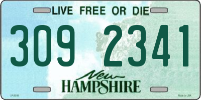 NH license plate 3092341