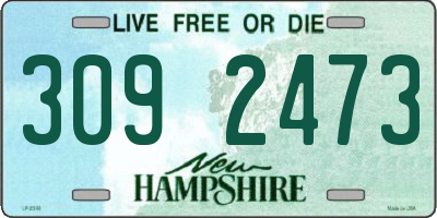 NH license plate 3092473