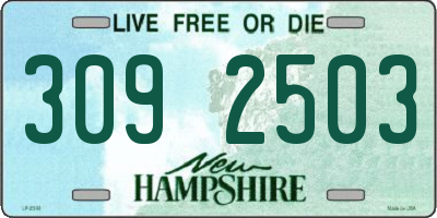NH license plate 3092503