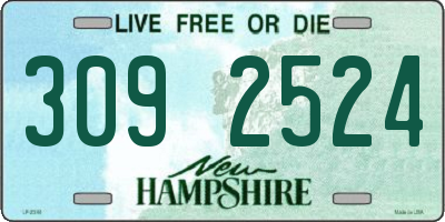 NH license plate 3092524