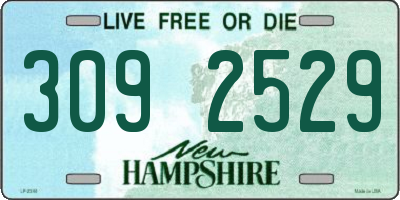 NH license plate 3092529