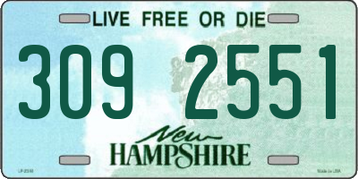 NH license plate 3092551