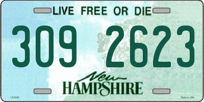 NH license plate 3092623