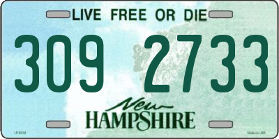 NH license plate 3092733