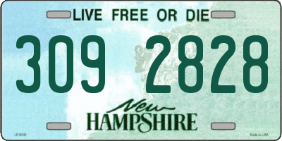 NH license plate 3092828