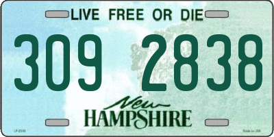NH license plate 3092838