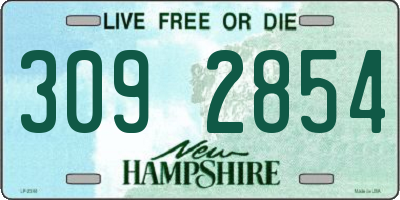 NH license plate 3092854