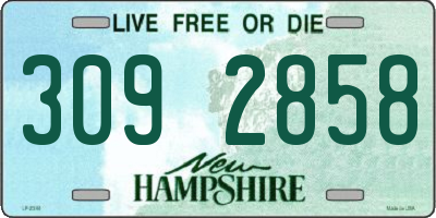 NH license plate 3092858