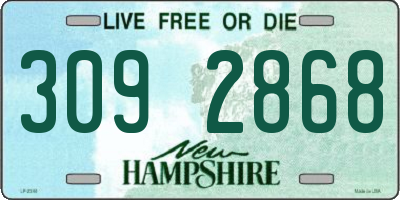 NH license plate 3092868