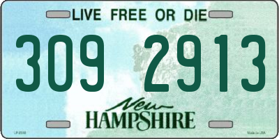 NH license plate 3092913