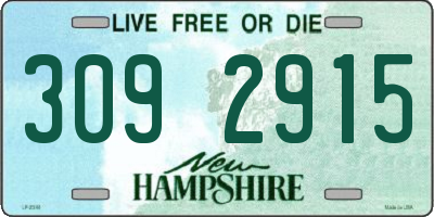 NH license plate 3092915