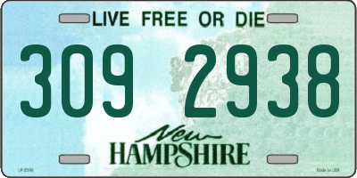 NH license plate 3092938