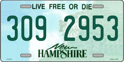 NH license plate 3092953