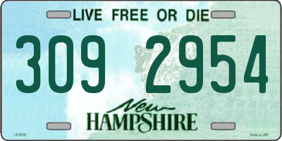 NH license plate 3092954