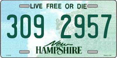 NH license plate 3092957
