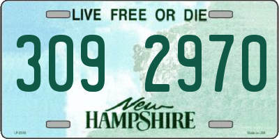 NH license plate 3092970