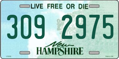 NH license plate 3092975