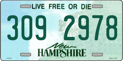NH license plate 3092978