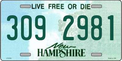 NH license plate 3092981