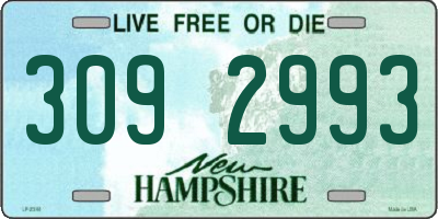 NH license plate 3092993
