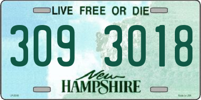 NH license plate 3093018