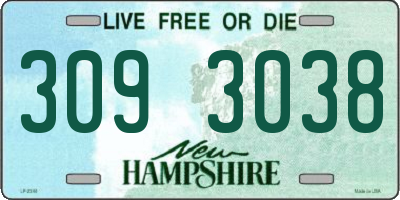 NH license plate 3093038