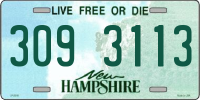 NH license plate 3093113