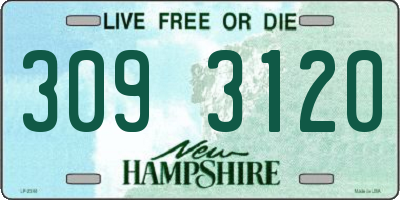 NH license plate 3093120