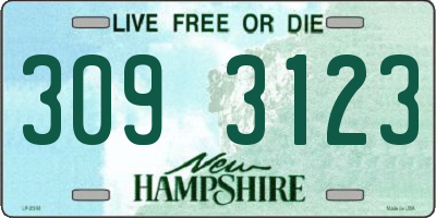 NH license plate 3093123